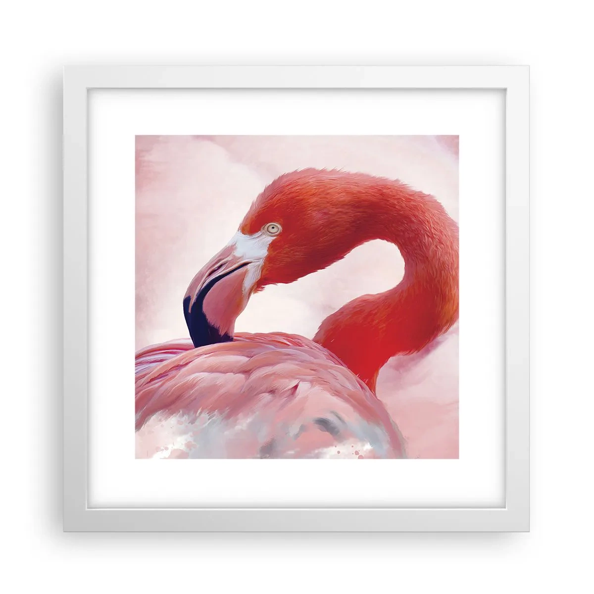 Affiche dans un cadre blanc - Poster - Beauté des oiseaux - 30x30 cm