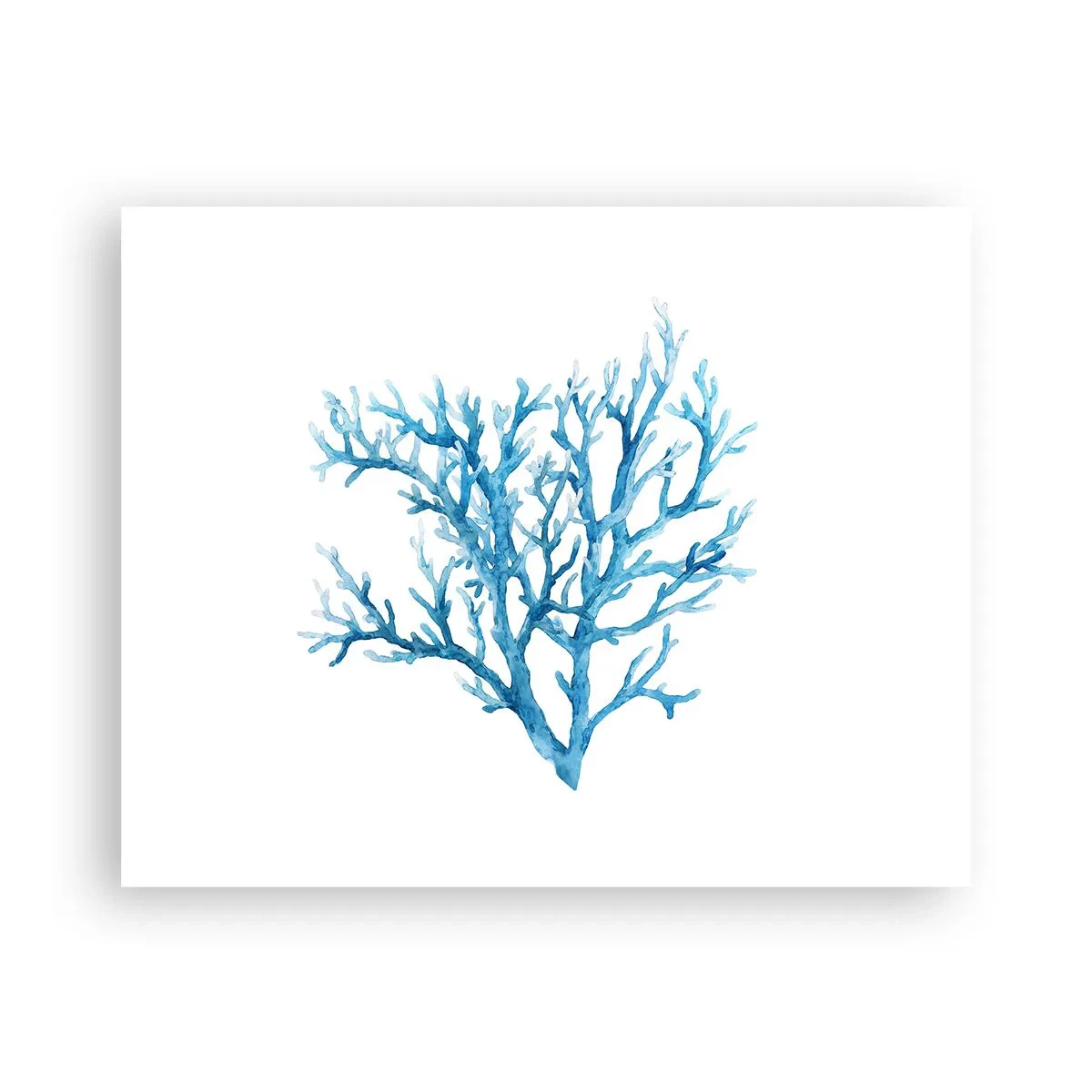 Affiche - Poster - Filigrane nautique - 50x40 cm