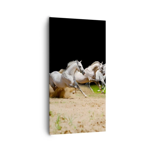 Impression sur toile - Image sur toile - Trois Grâces - 65x120 cm