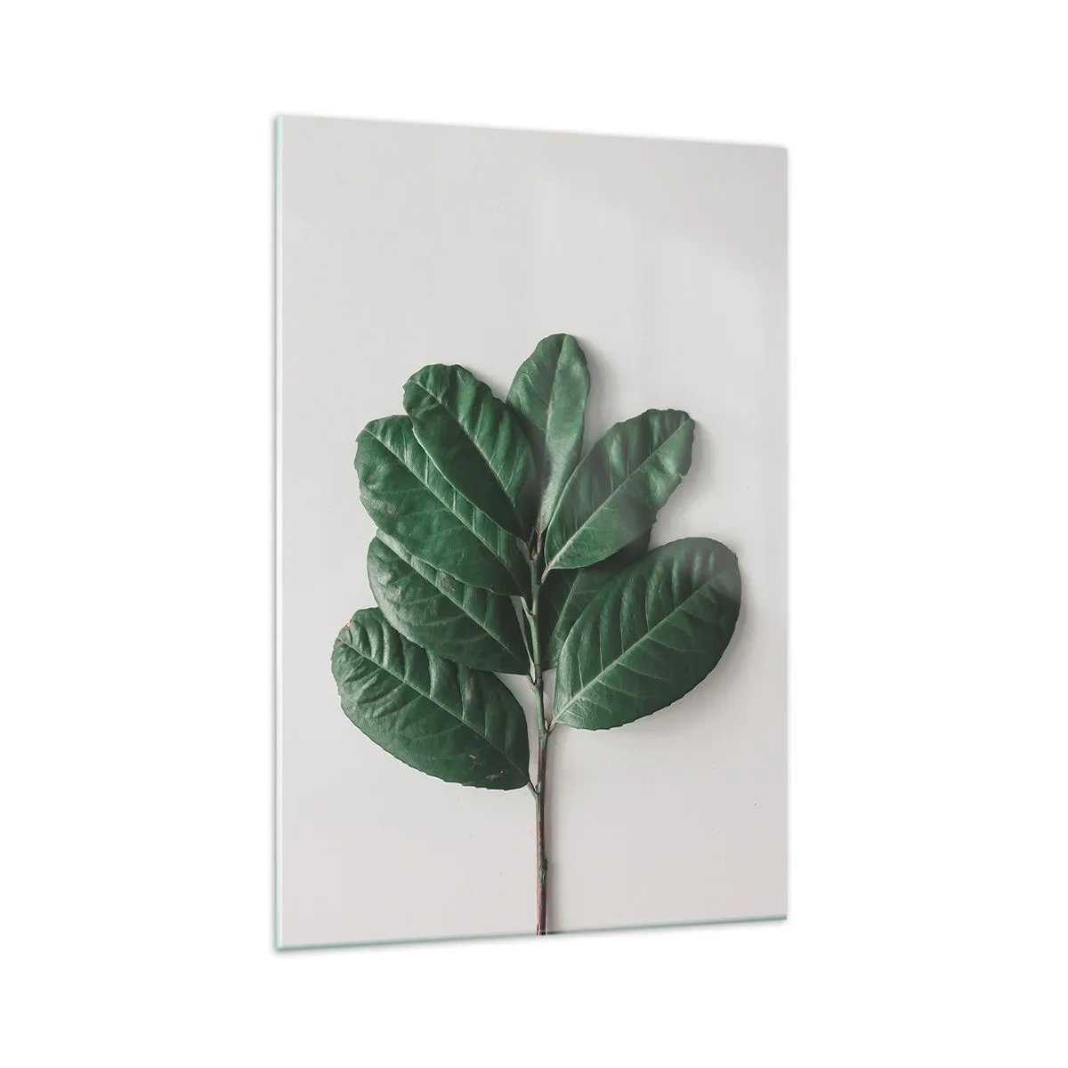 Impression sur verre - Image sur verre - Un brin de feuilles vertes sur un fond clair - 70x100cm - Dessin de la nature elle-même - Décoration murale moderne pour le salon et la chambre ARTTOR