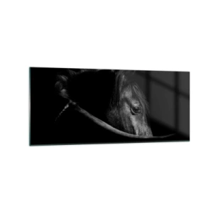Impression sur verre - Image sur verre - Portrait en noir et blanc d'un cheval avec un jeu subtil de lumière et d'ombre sur un fond sombre. - 120x50cm - Prince Noir - Décoration murale moderne pour le salon et la chambre ARTTOR