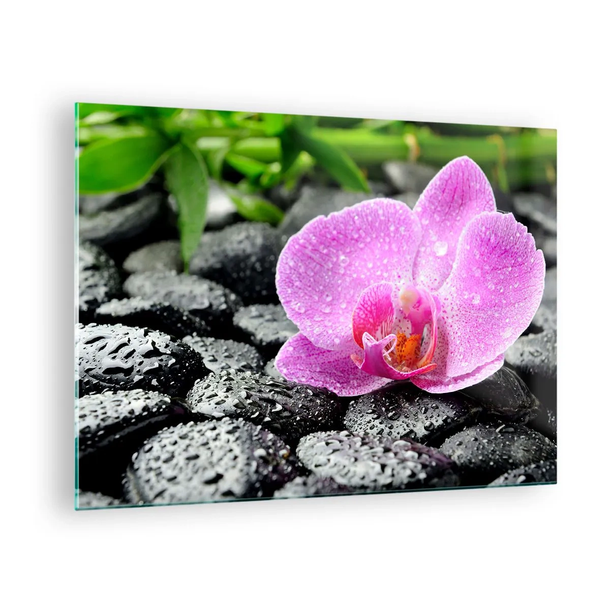 Impression sur verre - Image sur verre - Fleur d'orchidée rose sur des pierres noires humides - 70x50cm - Comme un coeur ouvert - Décoration murale moderne pour le salon et la chambre ARTTOR