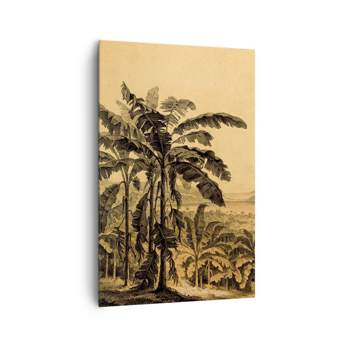 Impression sur toile - Image sur toile - Dessin de bananiers sur fond de paysage tropical - 80x120cm - Dans un climat colonial - Décoration murale moderne pour le salon et la chambre ARTTOR