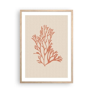 Affiche dans un chêne clair - Poster - Filigrane de corail - 50x70 cm