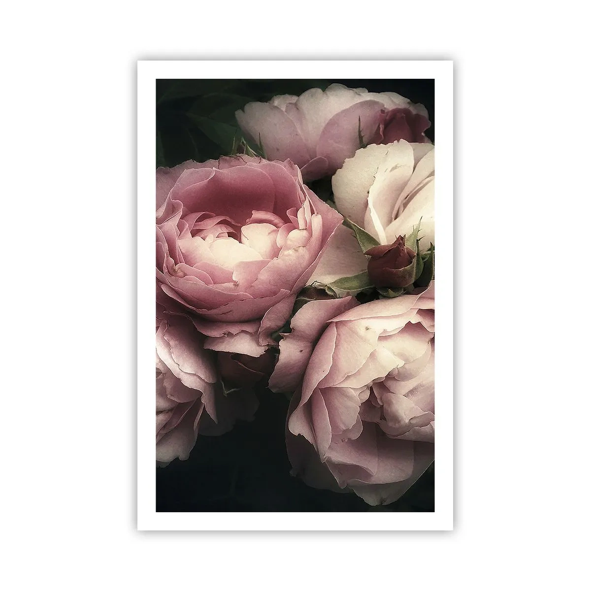 Affiche - Poster - Le charme de la belle époque - 61x91 cm