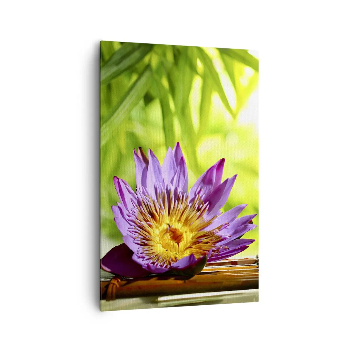Impression sur toile - Image sur toile - Fleur de lotus violette sur fond de feuilles de bambou vertes - 80x120cm - Sous le soleil asiatique - Décoration murale moderne pour le salon et la chambre ARTTOR