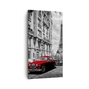 Impression sur toile - Image sur toile - Prédateur dans la ville - 45x80 cm