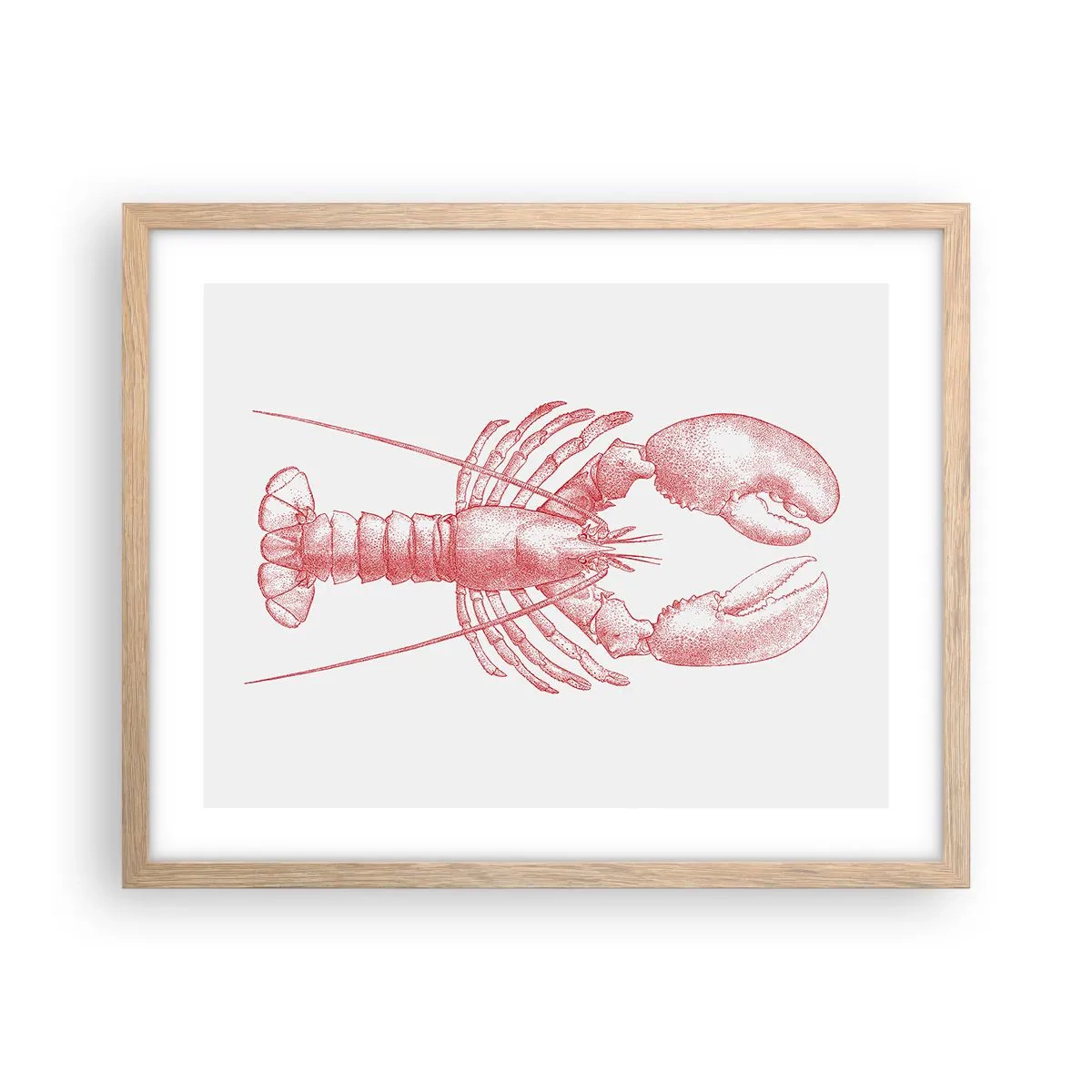 Affiche dans un chêne clair - Poster - Un homard digne d'Homère - 50x40 cm