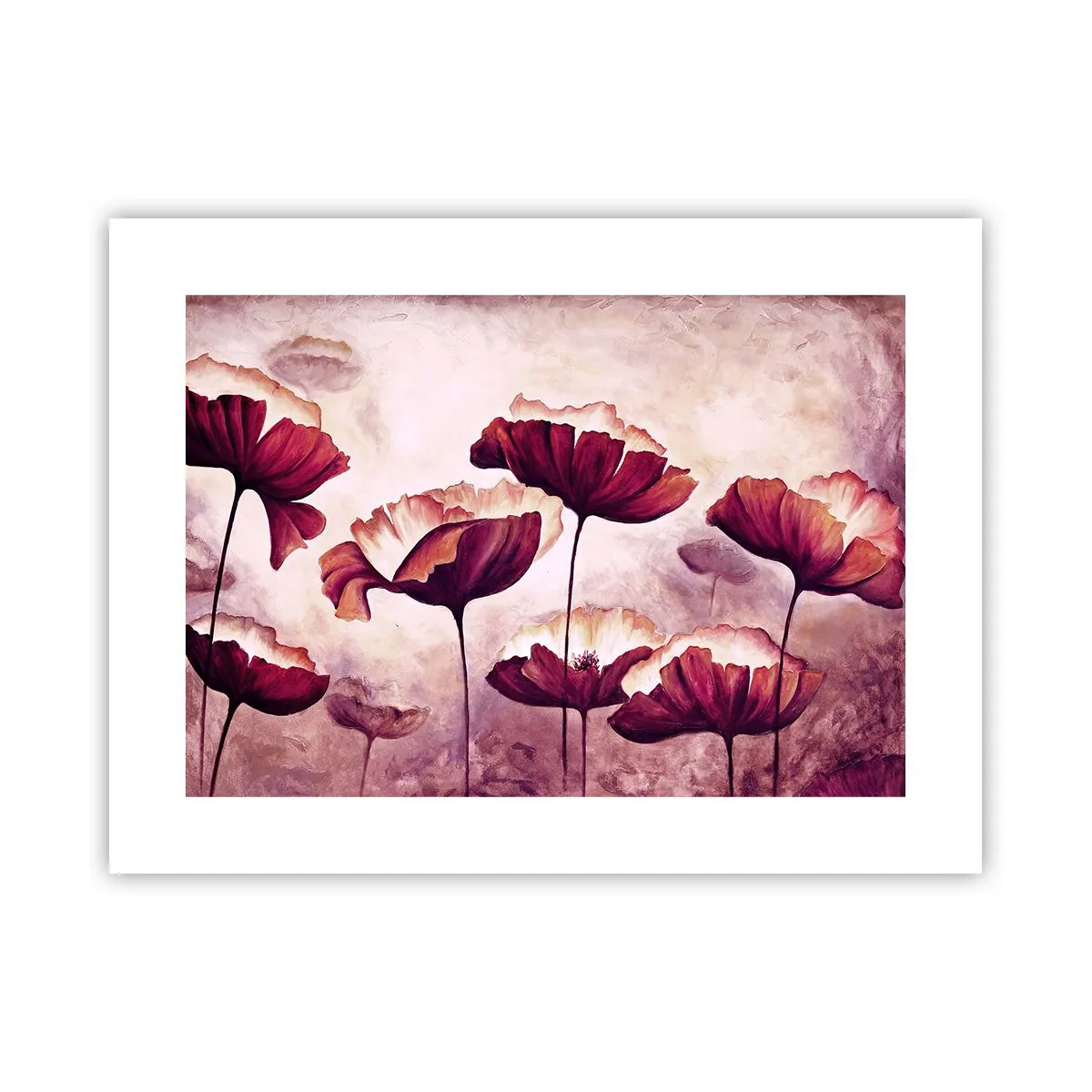 Affiche - Poster - Pétale rouge et blanc - 40x30 cm