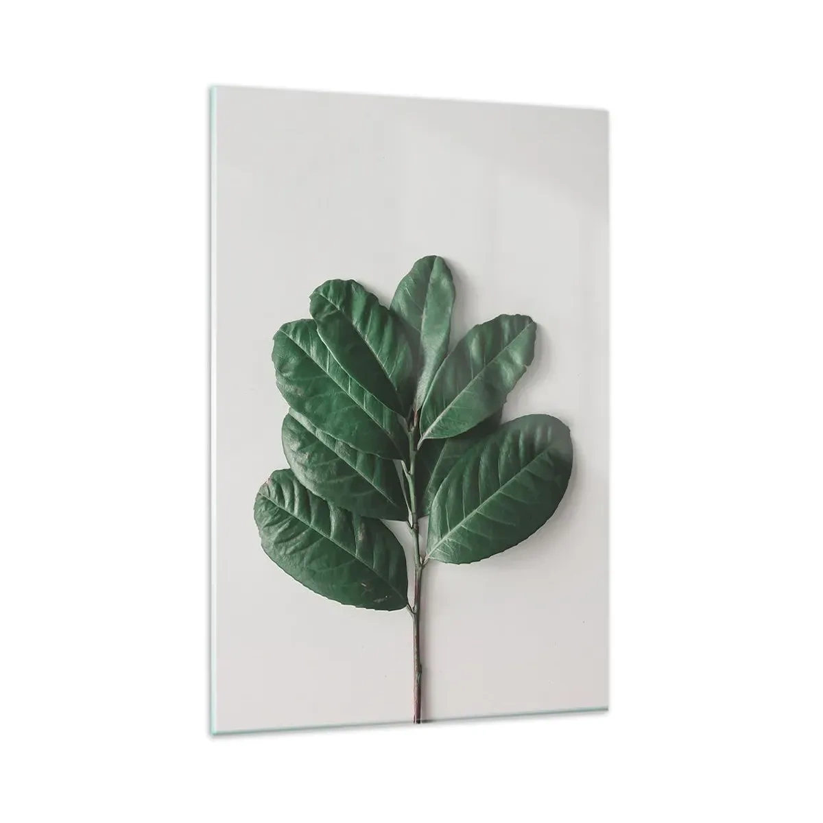 Impression sur verre - Image sur verre - Un brin de feuilles vertes sur un fond clair - 80x120cm - Dessin de la nature elle-même - Décoration murale moderne pour le salon et la chambre ARTTOR