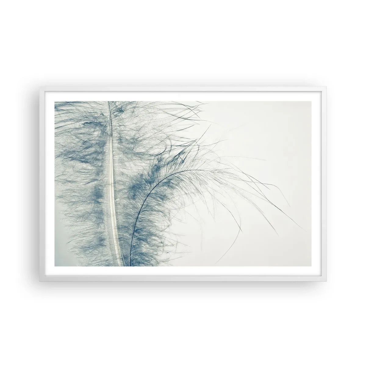 Affiche dans un cadre blanc - Poster - Les sept natures - 91x61 cm