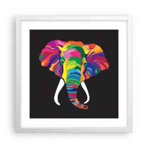 Affiche dans un cadre blanc - Poster - L'éléphant qui aimait se baigner dans un arc-en-ciel - 40x40 cm