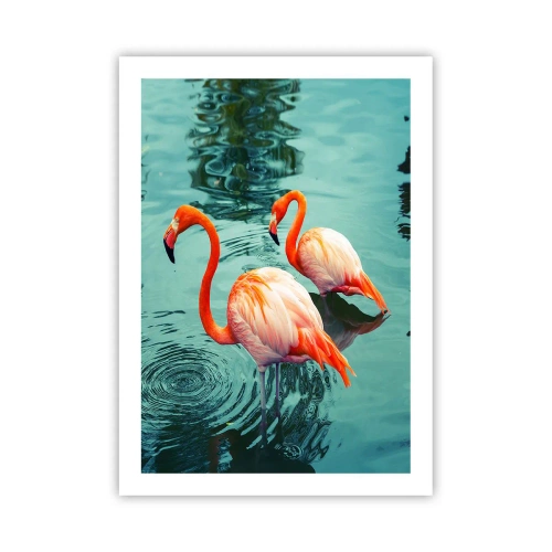 Affiche - Poster - Deux flamants roses sur fond d'eau calme - 50x70cm - Nous sommes à la mode maintenant - Décoration murale moderne pour le salon et la chambre ARTTOR