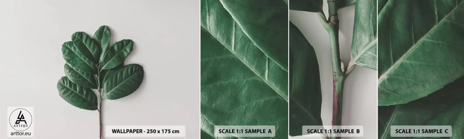 Échantillon de Papier Peint Autocollant Deluxe Sticker - Dessin de la nature elle-même - Feuilles, Usine, Nature - 100x30 cm