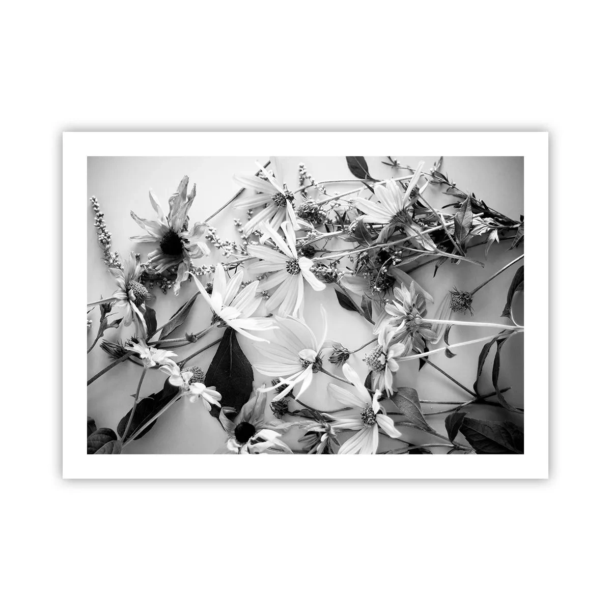 Affiche - Poster - Non-un bouquet de fleurs - 70x50 cm