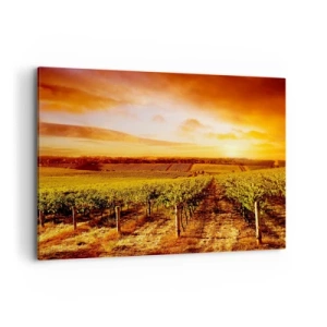 Impression sur toile - Image sur toile - Vignoble au coucher du soleil avec des tons de ciel chauds - 100x70cm - Légèrement fruité avec une pointe de soleil - Décoration murale moderne pour le salon et la chambre ARTTOR
