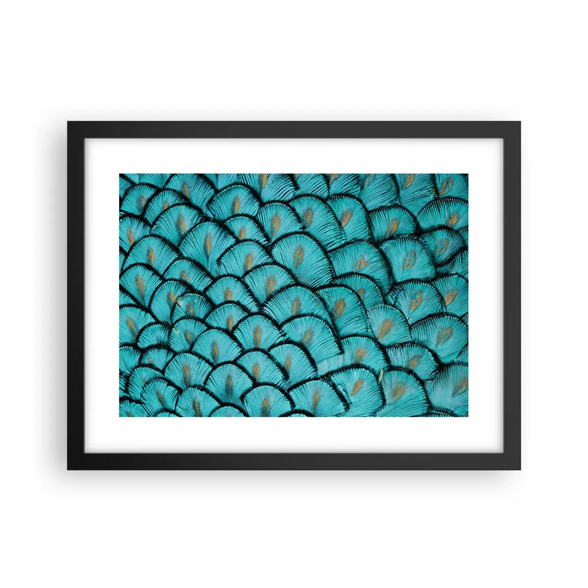 Affiche dans un cadre noir - Poster - Le grand gala des plumes - 40x30 cm