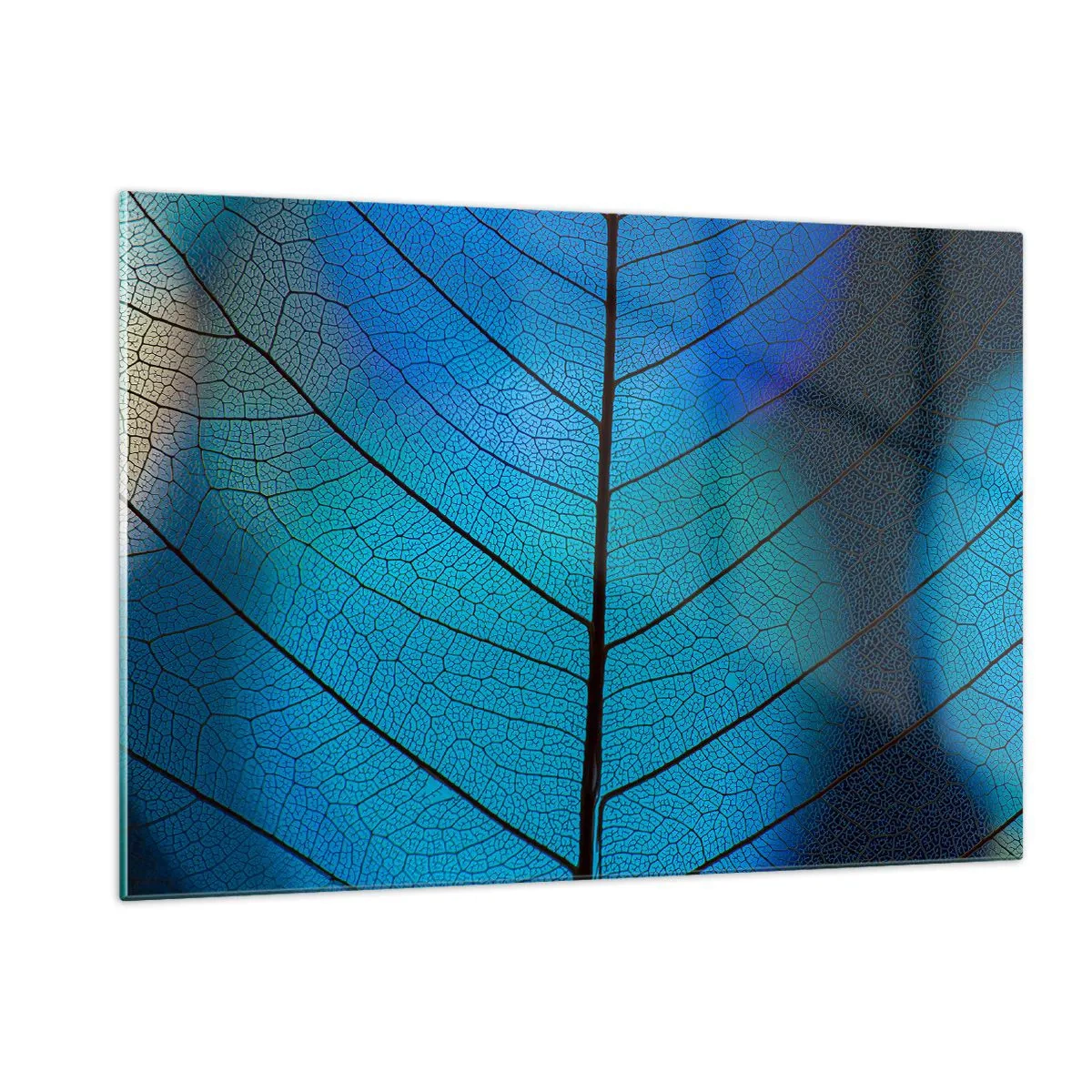 Impression sur verre - Image sur verre - Gros plan d'une feuille bleue montrant la structure des veines. - 120x80cm - Construction complexe - Décoration murale moderne pour le salon et la chambre ARTTOR