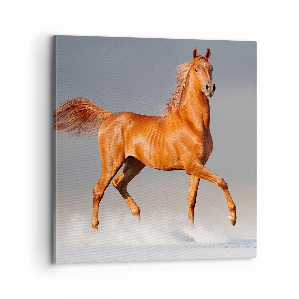 Impression sur toile - Image sur toile - La grâce dansante - 70x70 cm