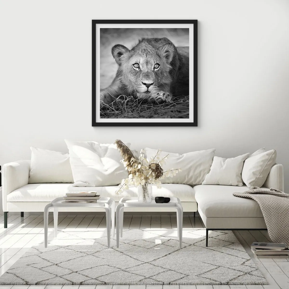 Affiche dans un cadre noir - Poster - Chiot royal - 50x50 cm