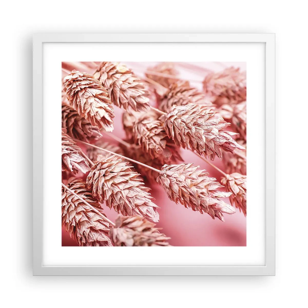 Affiche dans un cadre blanc - Poster - Une cascade florale en rose - 40x40 cm