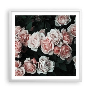 Affiche dans un cadre blanc - Poster - Ensemble de rose - 60x60 cm