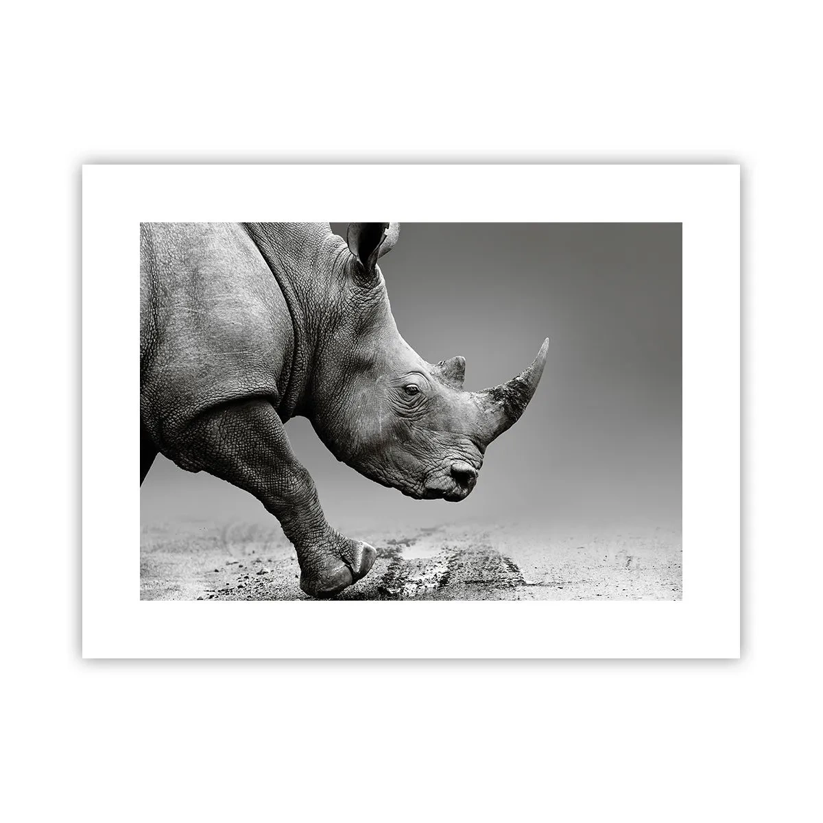 Affiche - Poster - Force inarrêtable - 40x30 cm