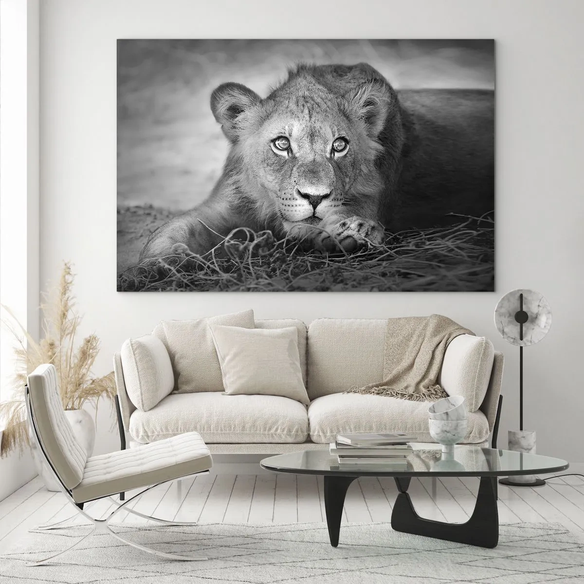 Impression sur verre - Image sur verre - Un lionceau en noir et blanc regardant la caméra - 100x70cm - Chiot royal - Décoration murale moderne pour le salon et la chambre ARTTOR