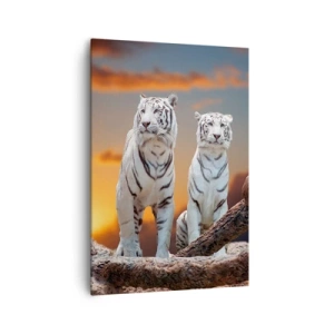Impression sur toile - Image sur toile - Tigres blancs au soleil couchant sur fond de nature - 70x100cm - Tout comme à Narnia - Décoration murale moderne pour le salon et la chambre ARTTOR