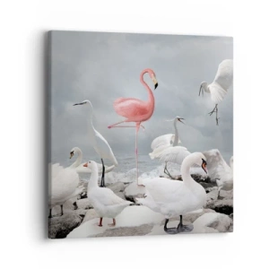 Impression sur toile - Image sur toile - Comment suis-je arrivé là? - 40x40 cm