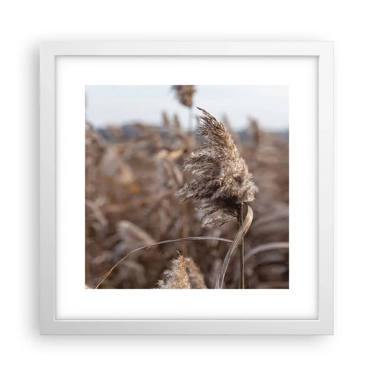 Affiche dans un cadre blanc - Poster - Il est temps de s'envoler avec le vent - 30x30 cm