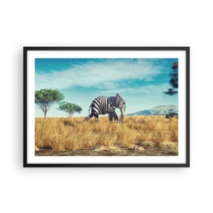 Affiche dans un cadre noir - Poster - Zèbre dans un paysage africain - 70x50cm - Le gris n'est déjà plus à la mode - Décoration murale moderne pour le salon et la chambre ARTTOR
