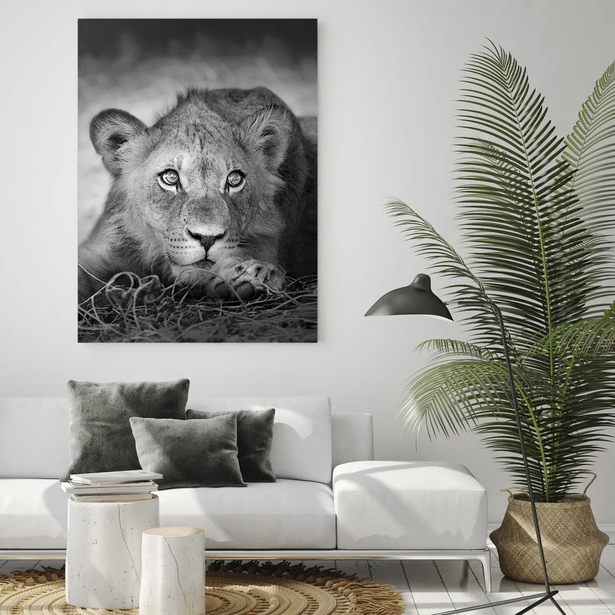 Impression sur verre - Image sur verre - Portrait monochrome d'un jeune lion couché - 80x120cm - Chiot royal - Décoration murale moderne pour le salon et la chambre ARTTOR