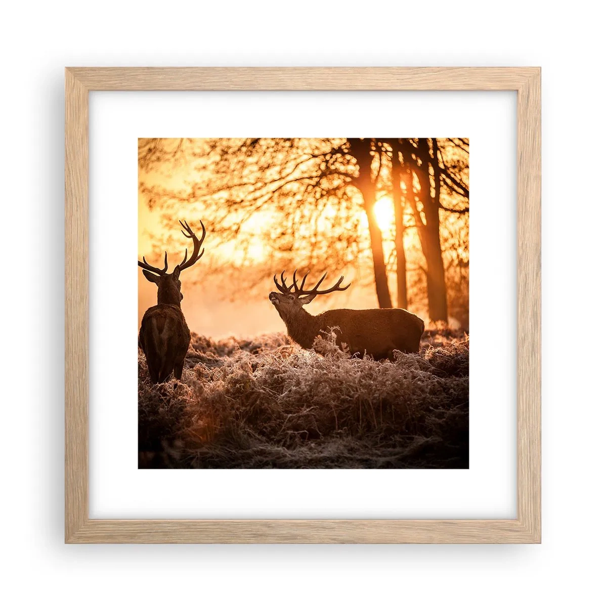 Affiche dans un chêne clair - Poster - Le rêve d'un chasseur - 30x30 cm