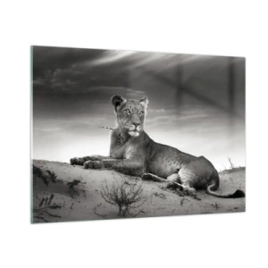Impression sur verre - Image sur verre - Laissé gisant dans le désert dans un cadre noir et blanc - 100x70cm - La reine du désert reste - Décoration murale moderne pour le salon et la chambre ARTTOR