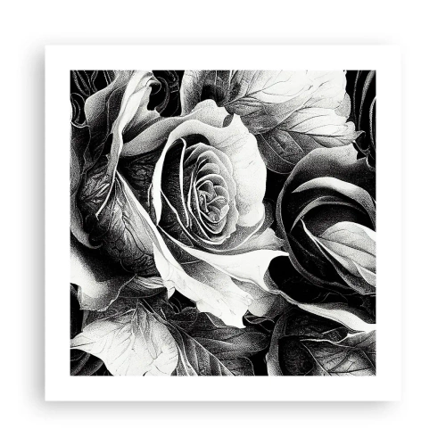 Affiche - Poster - Toujours une reine - 50x50 cm