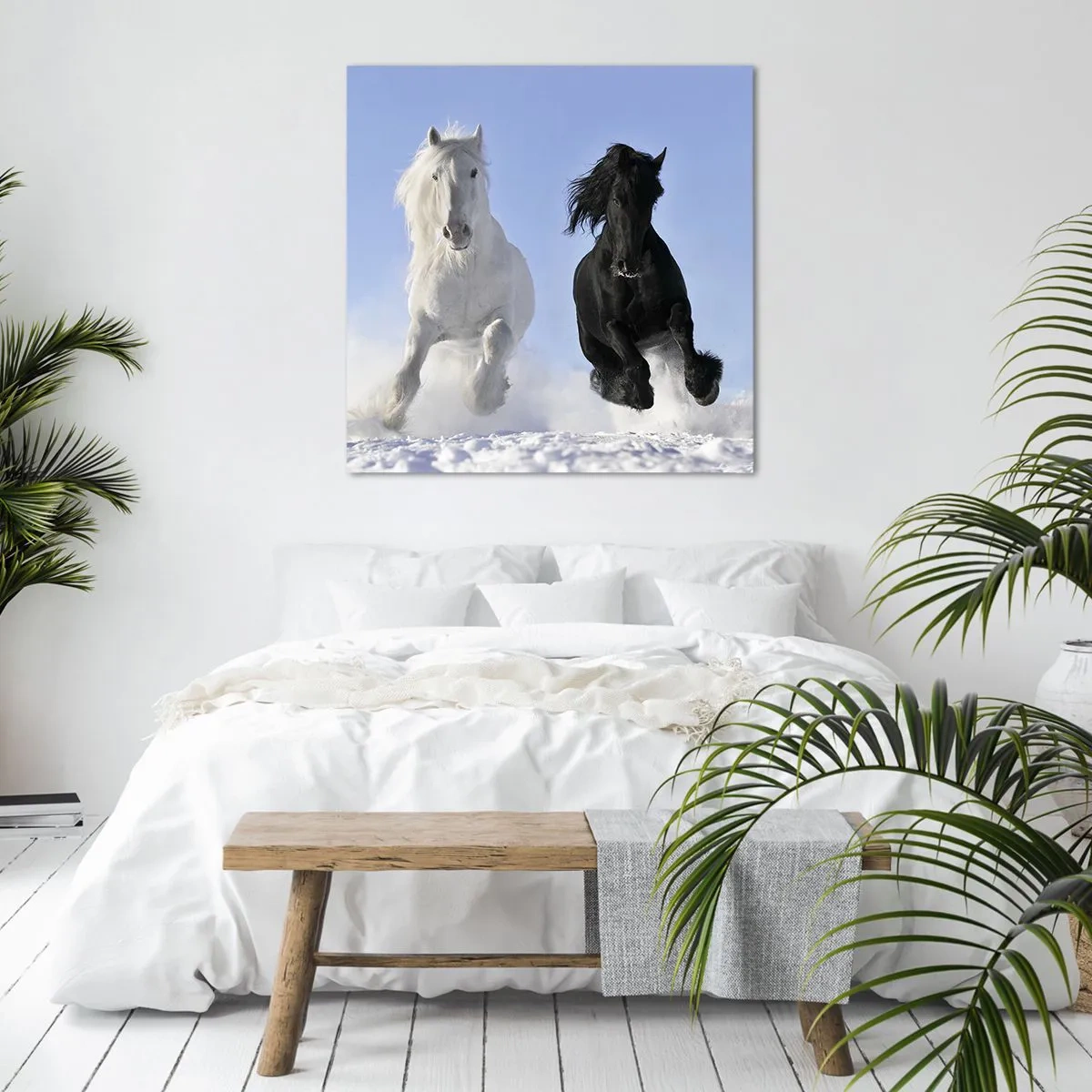 Impression sur toile - Image sur toile - Galop noir et blanc - 60x60 cm