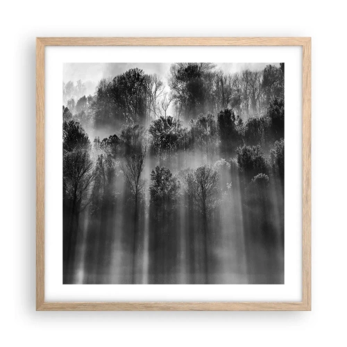 Affiche dans un chêne clair - Poster - Dans les flots de lumière - 50x50 cm