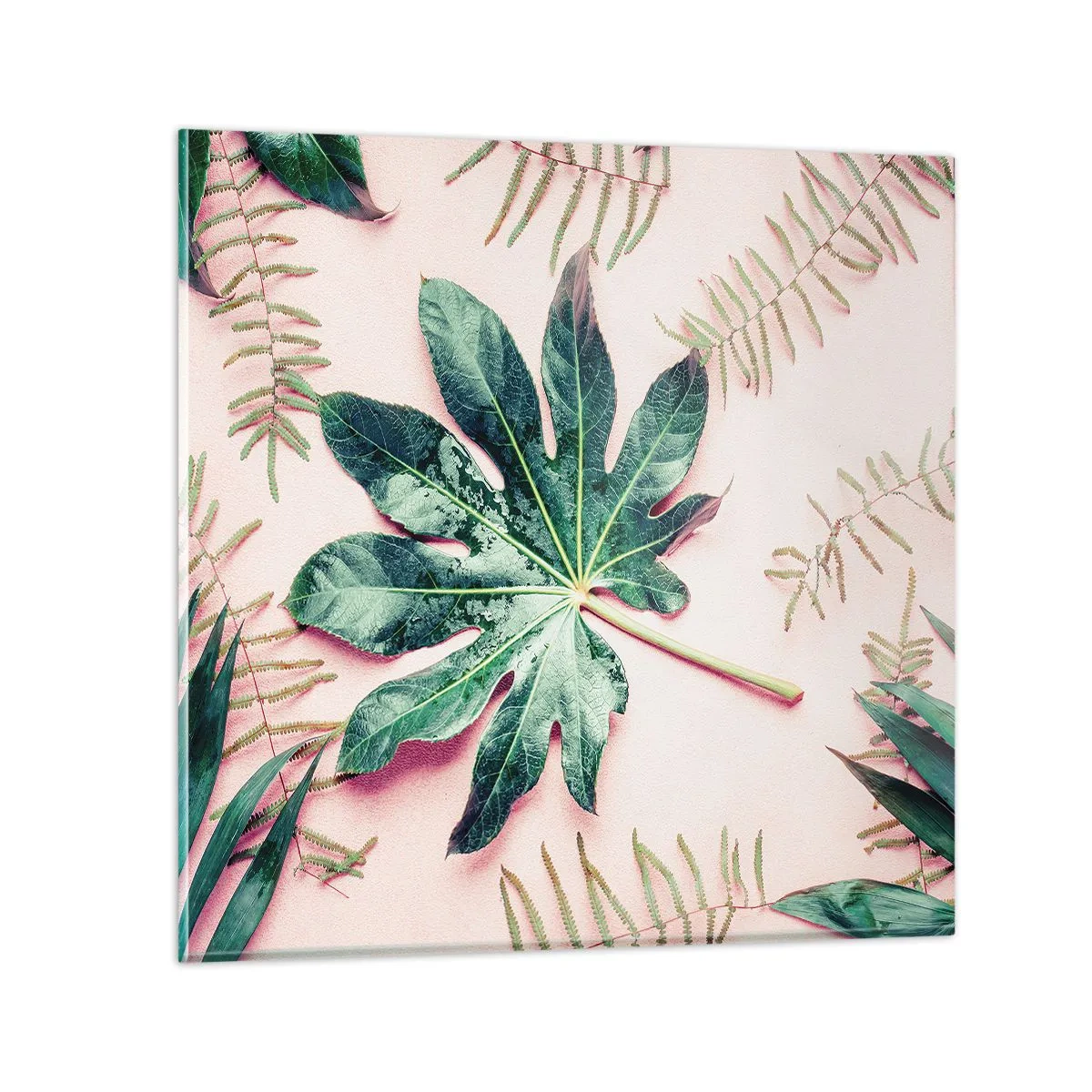 Impression sur verre - Image sur verre - Étude de verdure sur fond rose - 70x70 cm