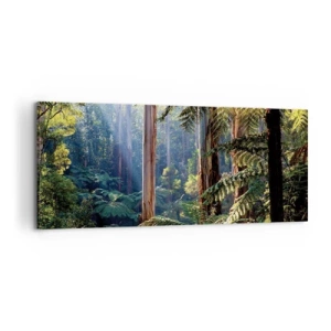 Impression sur toile - Image sur toile - Forêt tropicale illuminée par les rayons du soleil - 120x50cm - Fable de la forêt - Décoration murale moderne pour le salon et la chambre ARTTOR