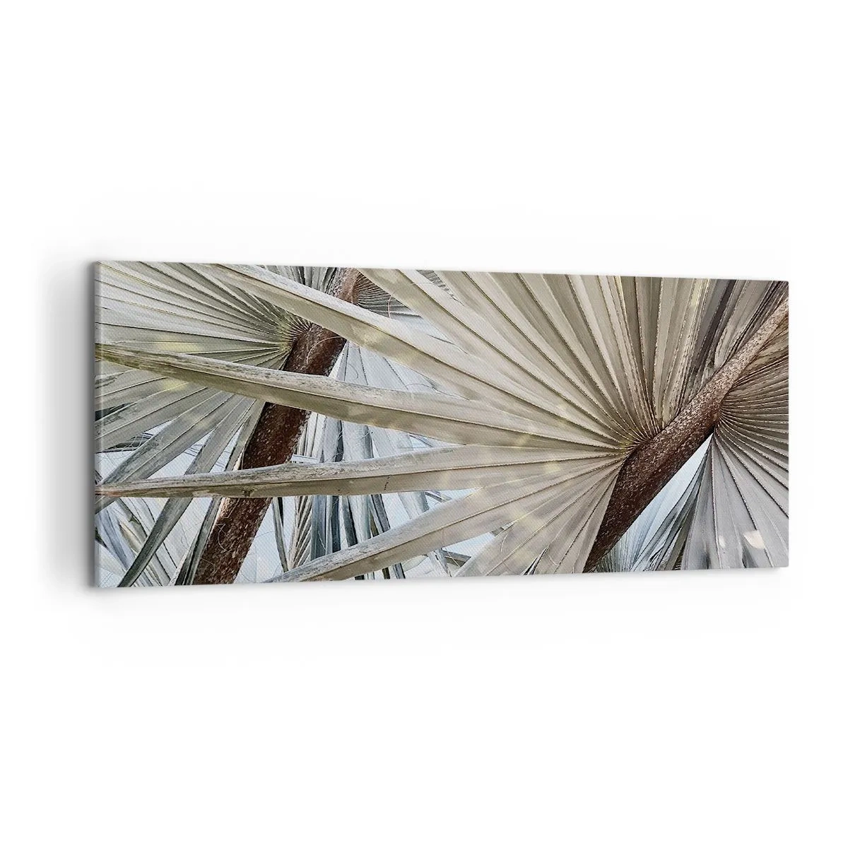 Impression sur toile - Image sur toile - Evantail sous les tropiques - 100x40 cm
