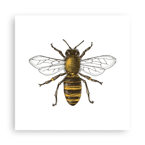 Affiche - Poster - Belle et bonne - 30x30 cm