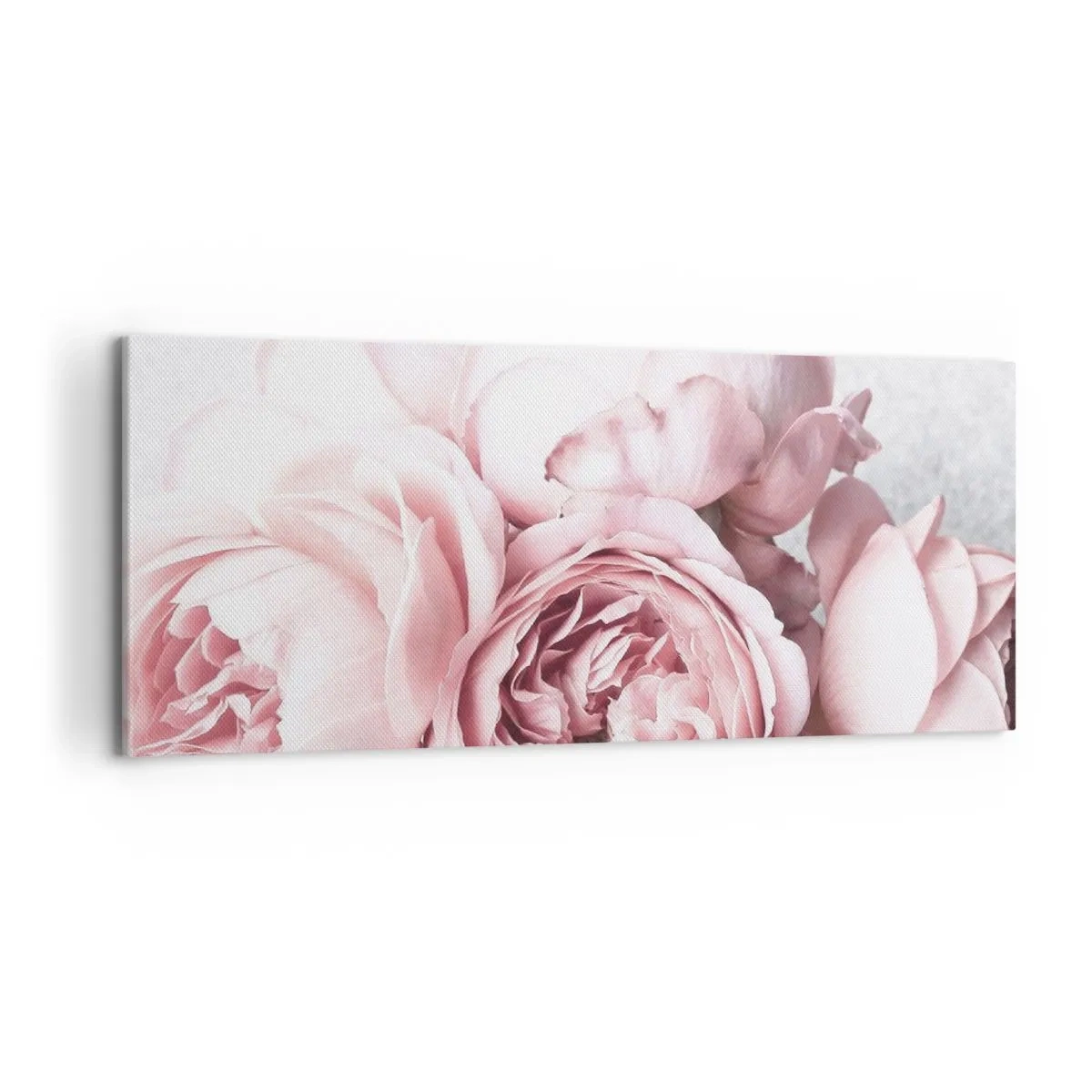 Impression sur toile - Image sur toile - Pivoines roses dans une lumière douce sur un fond clair - 120x50cm - Pour les romantiques - Décoration murale moderne pour le salon et la chambre ARTTOR
