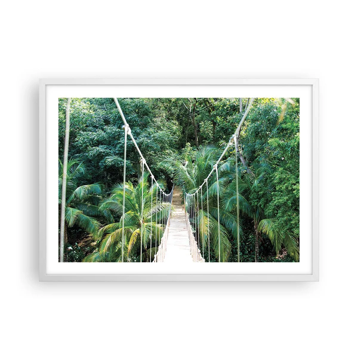 Affiche dans un cadre blanc - Poster - Welcome to the jungle! - 70x50 cm