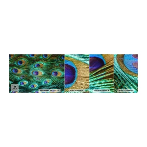 Échantillon De Papier Peint Standard Eco - Un regard de paon - Abstraction, Plumes de paon, Plume oiseau - 100x30 cm