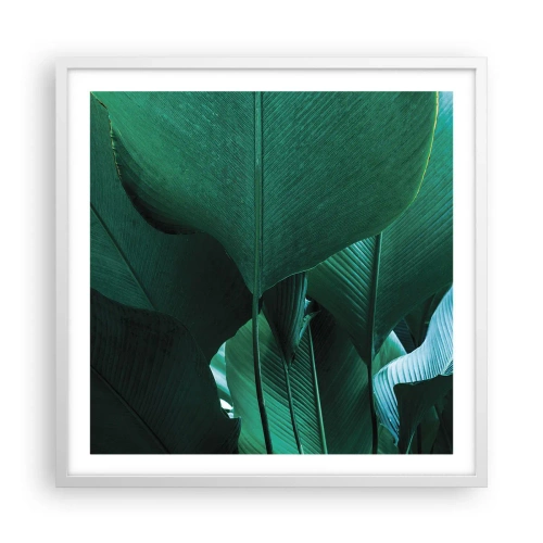 Affiche dans un cadre blanc - Poster - Tourné vers la lumière - 60x60 cm