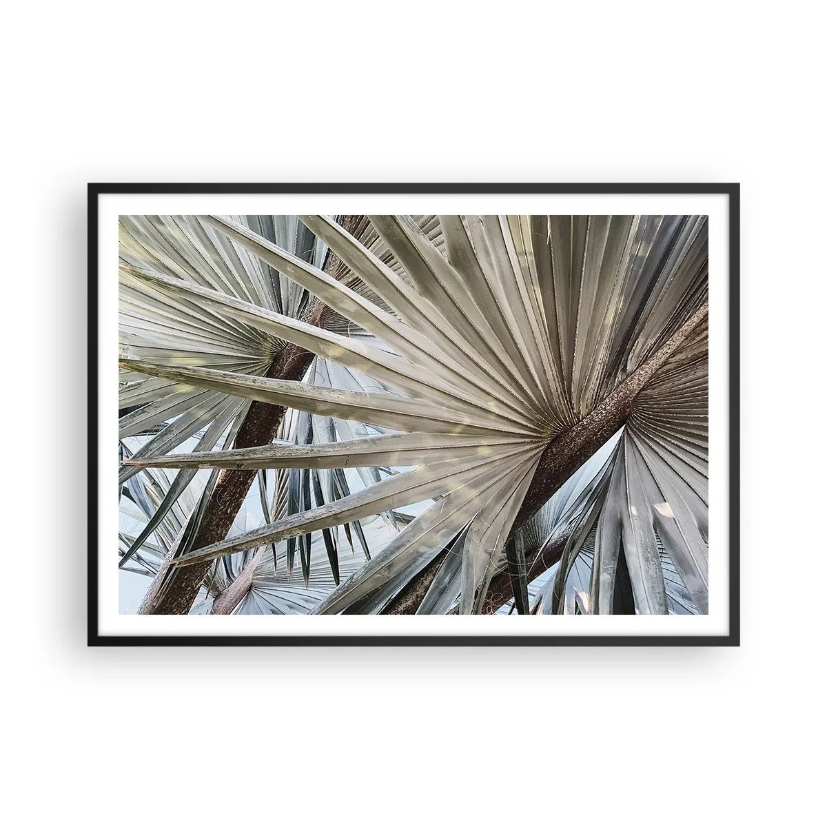 Affiche dans un cadre noir - Poster - Gros plan de feuilles de palmier dans des tons naturels de vert - 100x70cm - Evantail sous les tropiques - Décoration murale moderne pour le salon et la chambre ARTTOR