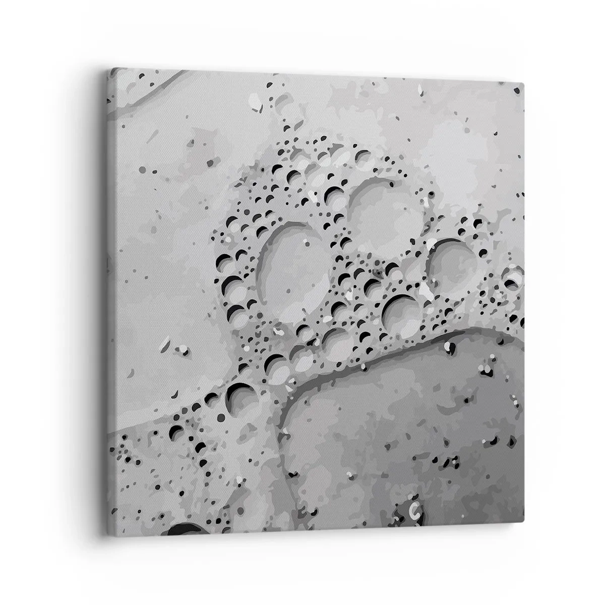 Impression sur toile - Image sur toile - Sentier de mousse - 30x30 cm