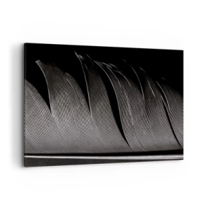 Impression sur toile - Image sur toile - Texture de plumes noires et blanches dans un style minimaliste - 100x70cm - La plume – un design magnifique - Décoration murale moderne pour le salon et la chambre ARTTOR