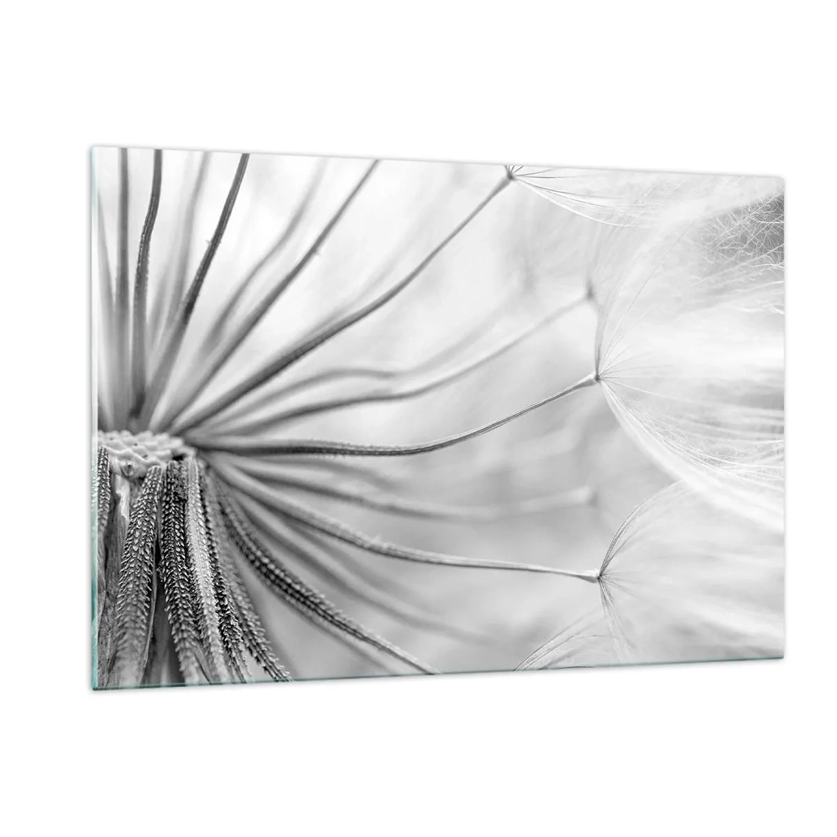 Impression sur verre - Image sur verre - Photographie macro d'un pissenlit dans des tons de noir et blanc - 120x80cm - Aigrette avant son envol - Décoration murale moderne pour le salon et la chambre ARTTOR